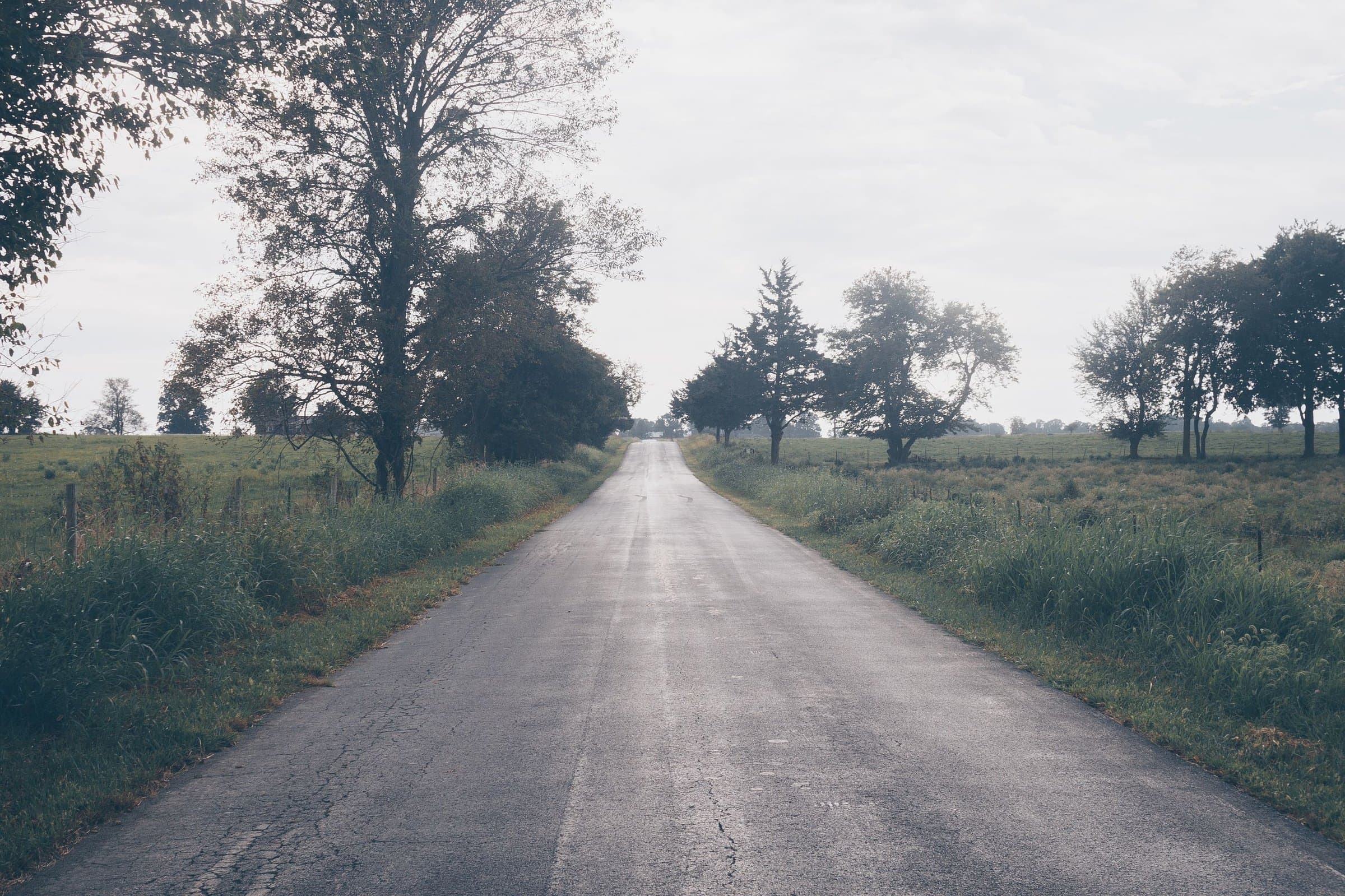A quiet country road between farm fields and scattered trees